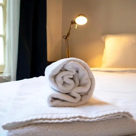 Apartament Le Briconnet / Proche Plumereau *