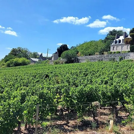 Apartment Le Briconnet / Proche Plumereau