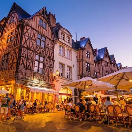 Le Briconnet / Proche Plumereau Lägenhet Tours