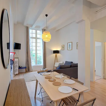 Le Briconnet / Proche Plumereau Apartment Tours