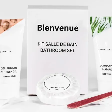 Le Briconnet / Proche Plumereau * Tours