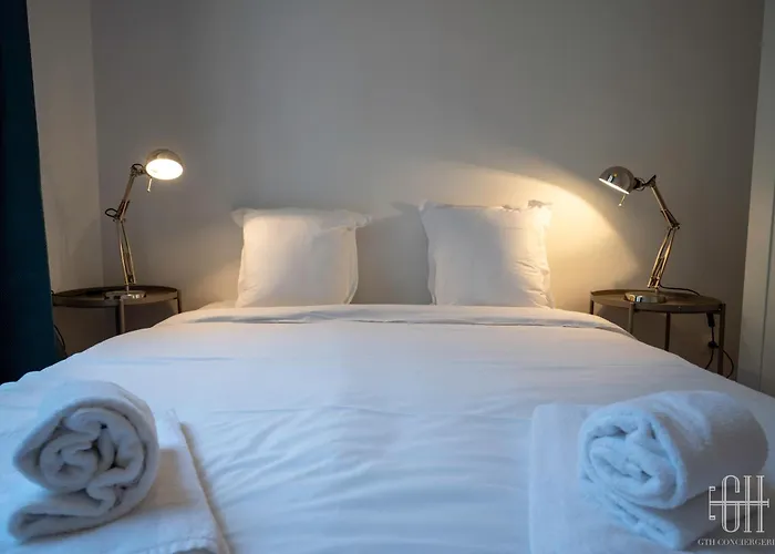 公寓 Le Briconnet / Proche Plumereau 图尔