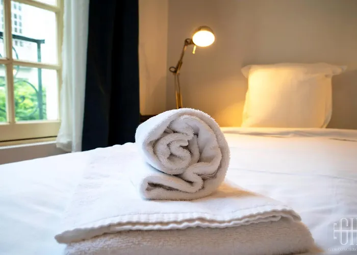 Апартаменты Le Briconnet / Proche Plumereau *