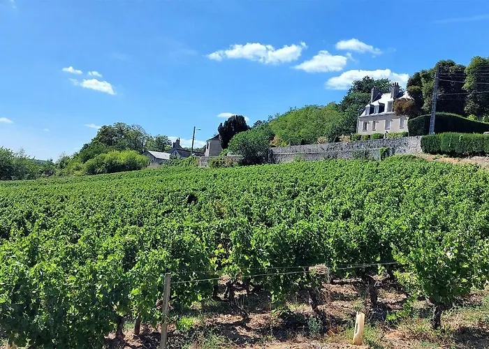 公寓 Le Briconnet / Proche Plumereau