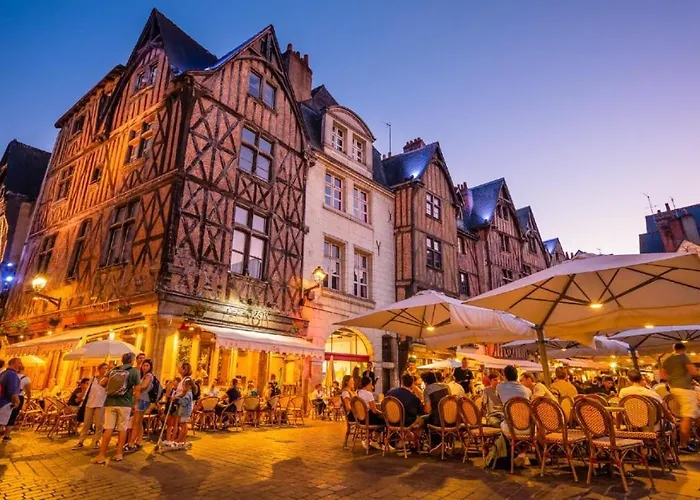 Le Briconnet / Proche Plumereau 公寓 图尔