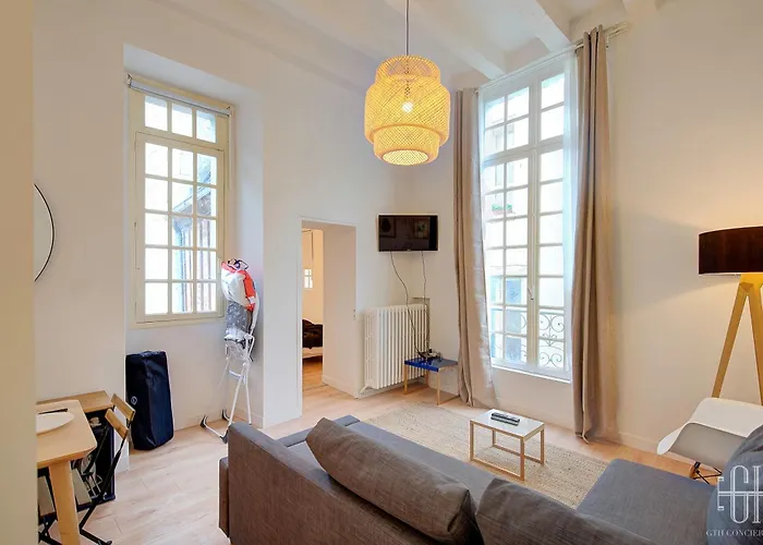 Le Briconnet / Proche Plumereau Апартаменты *