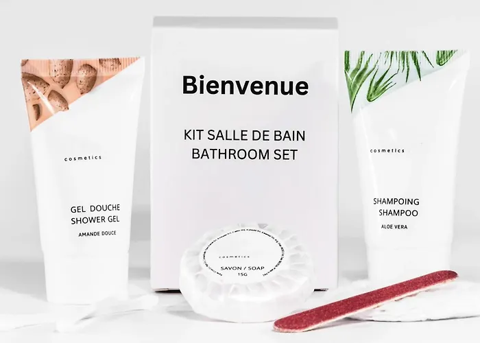 Le Briconnet / Proche Plumereau * Тур